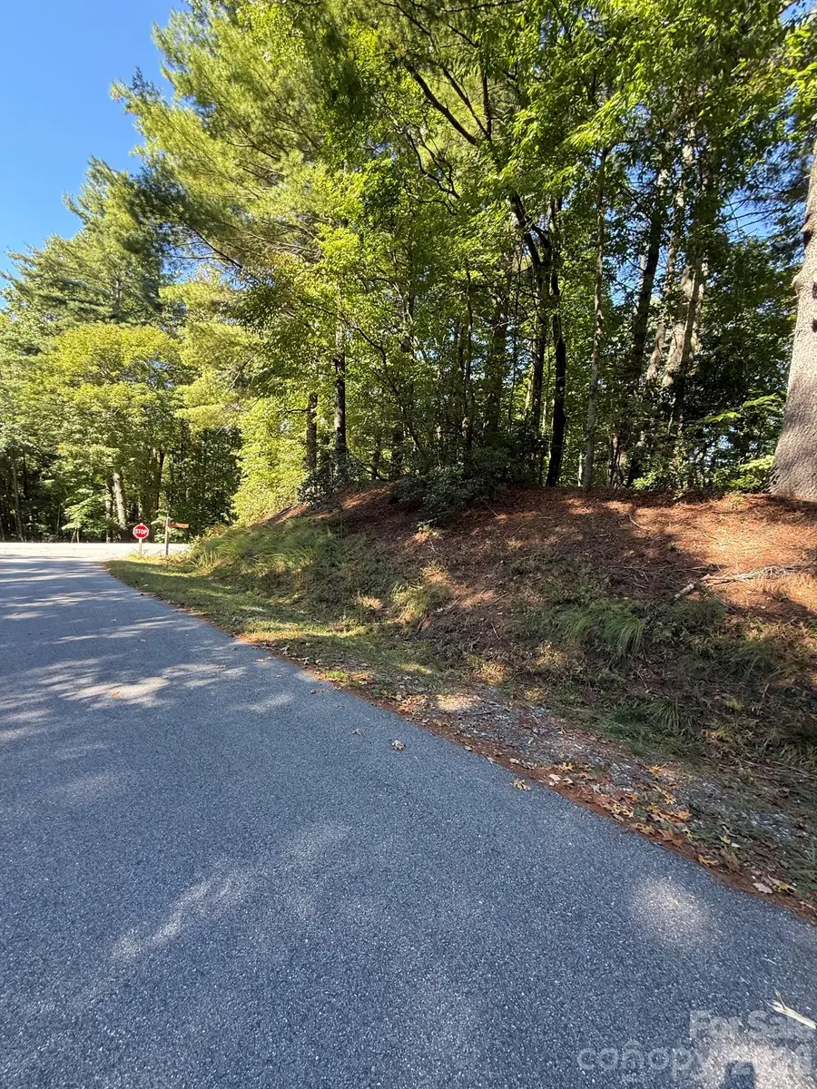 TBD U24 Lot19 Tlugvi Court #19/24, Brevard, NC 28712 - #3