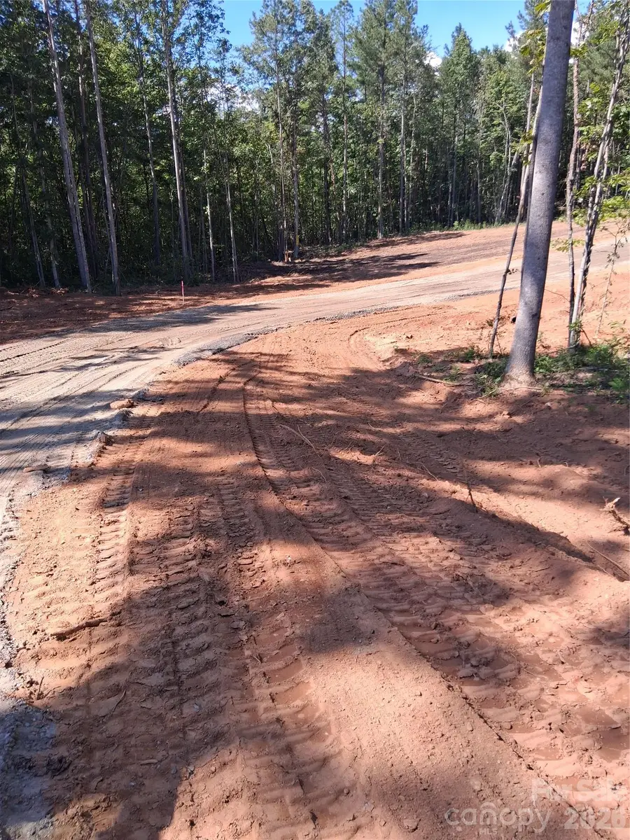 35 Vein Mountain Road #2, Dysartsville, NC 28761 - #3