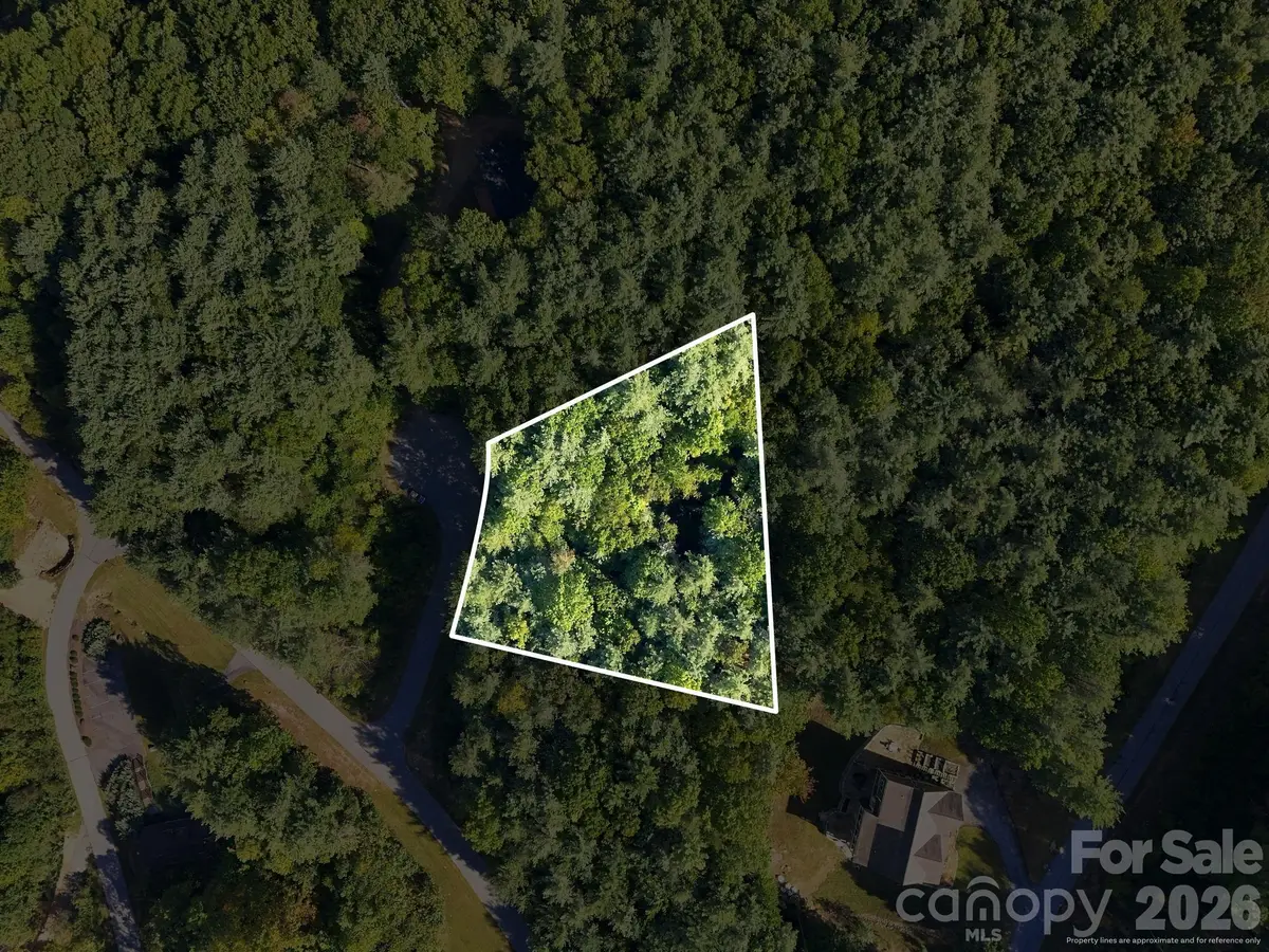 7 Spruce Tree Court, Leicester, NC 28748 - #1