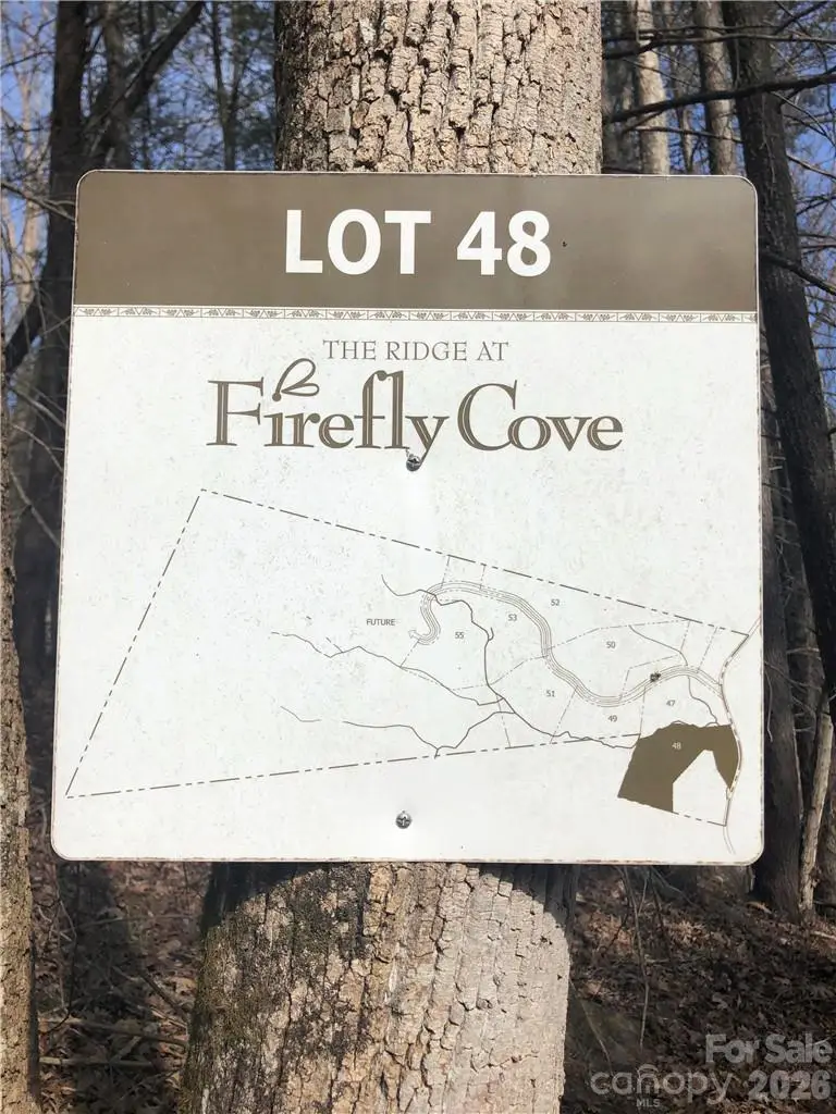 711 Boys Camp Road #48, Lake Lure, NC 28746 - #3