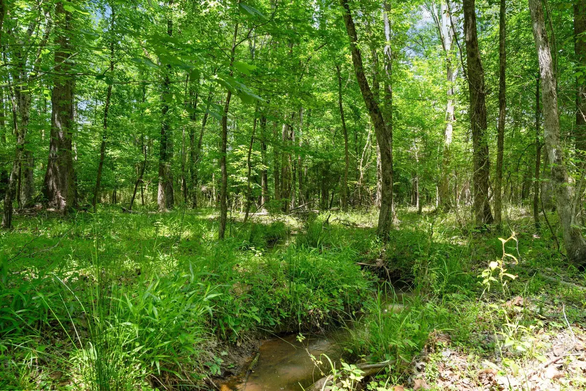0000 Ashford Ferry Road, Monticello Salem Crossroads, SC 29706 - #1