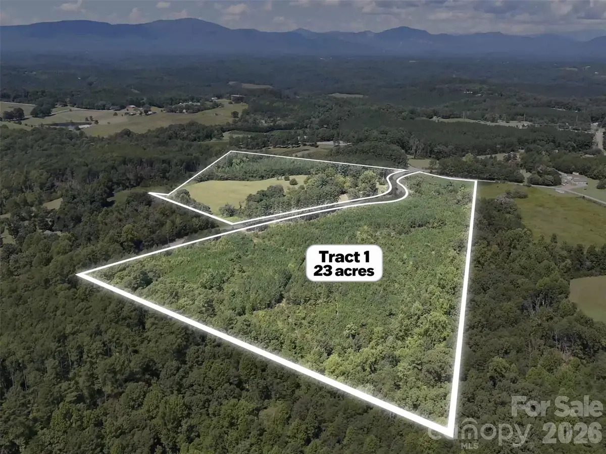 2125 Whiteside Road, Mill Spring, NC 28756 - #1