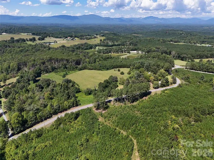 2125 Whiteside Road, Mill Spring, NC 28756 - #2