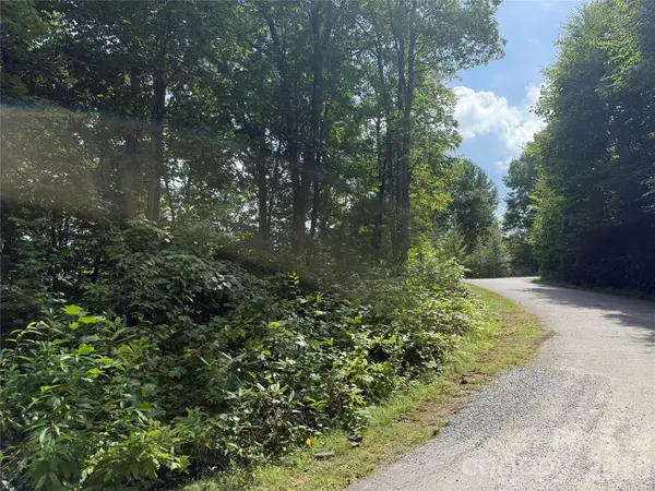 35 Chandra Lane, Clyde, NC 28721