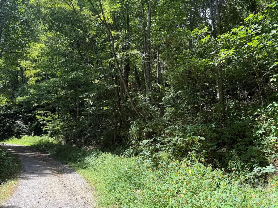 35 Chandra Lane, Clyde, NC 28721 - #2