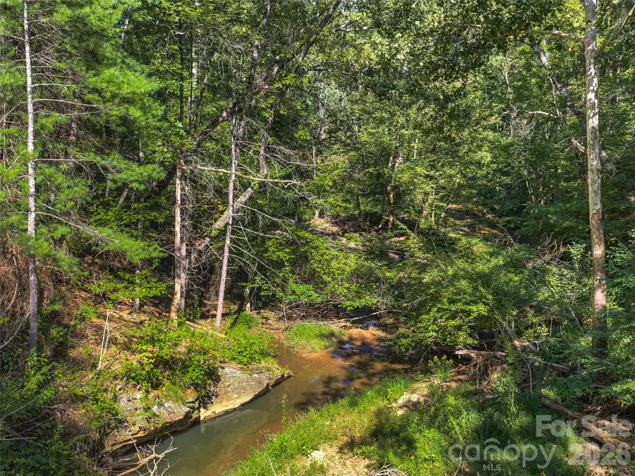 Lot # 17A Ostin Creek Trail, Mill Spring, NC 28756 - #2