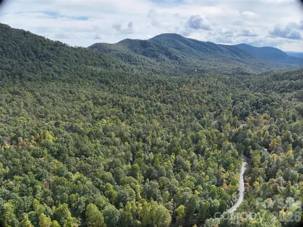 81 Bird Creek Estates Road, Black Mountain, NC 28711