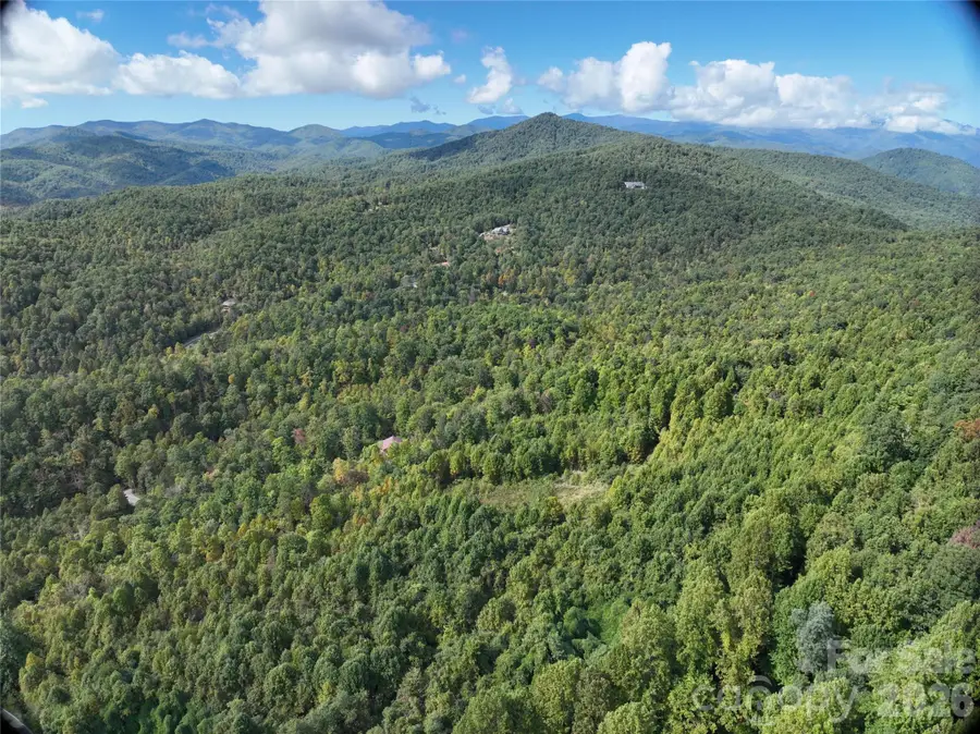 81 Bird Creek Estates Road, Black Mountain, NC 28711 - #3