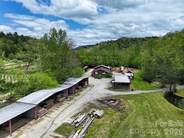 195 & 00000 Blueberry Farm Road, Zirconia, NC 28790