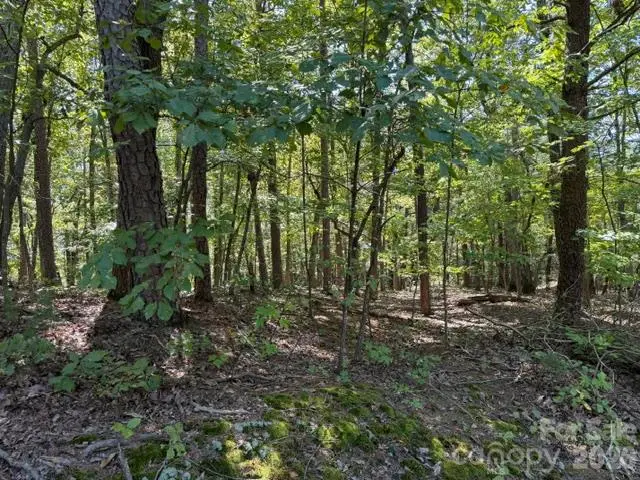 00 Washington Ridge Road, Statesville, NC 28677 - #1