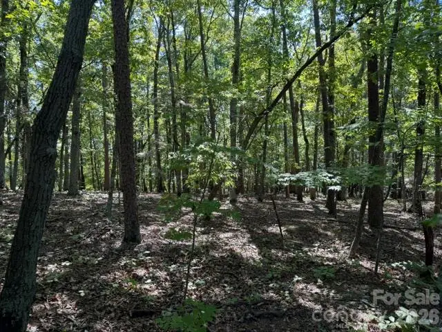 00 Washington Ridge Road, Statesville, NC 28677 - #3