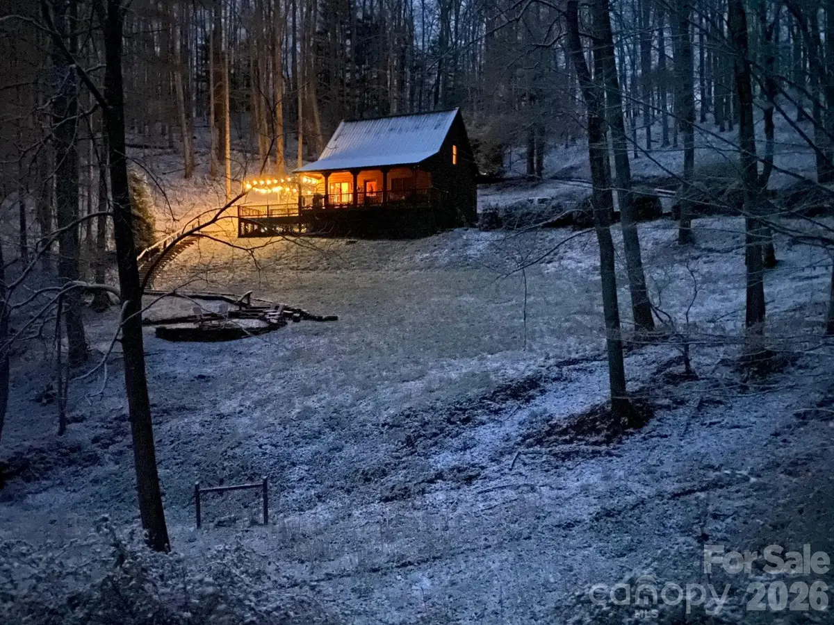 349 Barefoot Cove, Burnsville, NC 28714 - #1