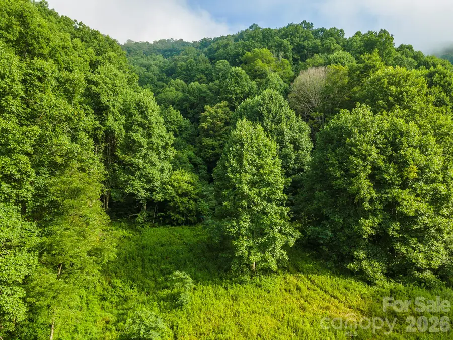 99999 Renfro Road, Green Mountain, NC 28740 - #2