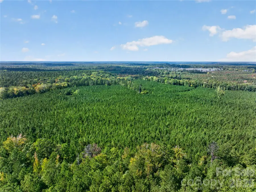 0000 Narrow Bridge Road #3, Chester, SC 29706 - #3
