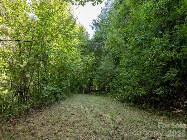 00 Newfound Road, Leicester, NC 28748