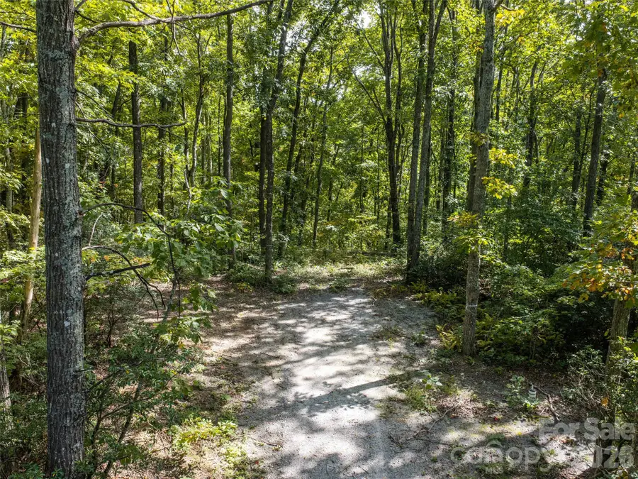 TBD Orange Plum Lane #4, Asheville, NC 28803 - #3