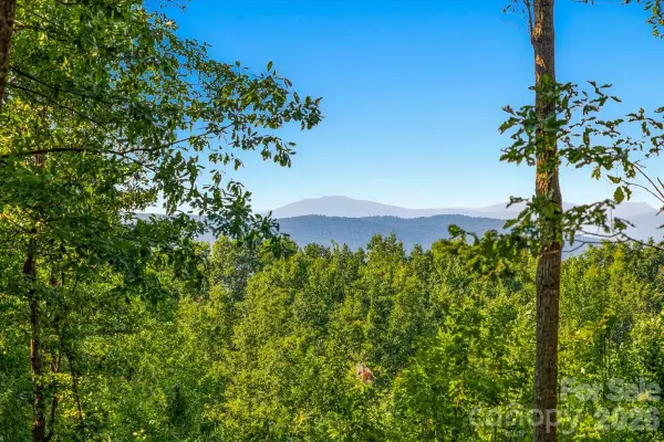 149 + 207 Mossy Oak Trail #167 + 166, Nebo, NC 28761