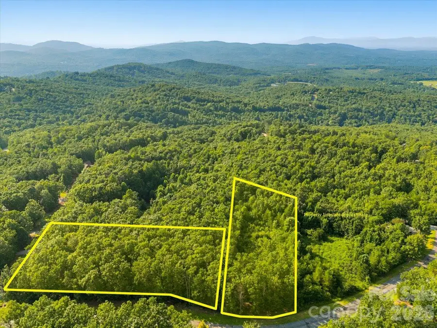 149 + 207 Mossy Oak Trail #167 + 166, Nebo, NC 28761 - #2
