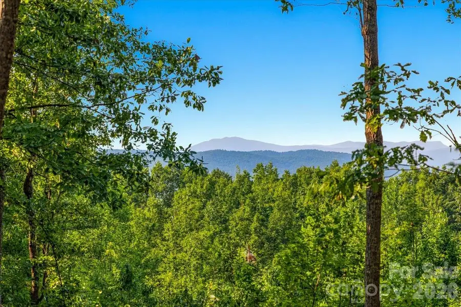 149 + 207 Mossy Oak Trail #167 + 166, Nebo, NC 28761 - #3