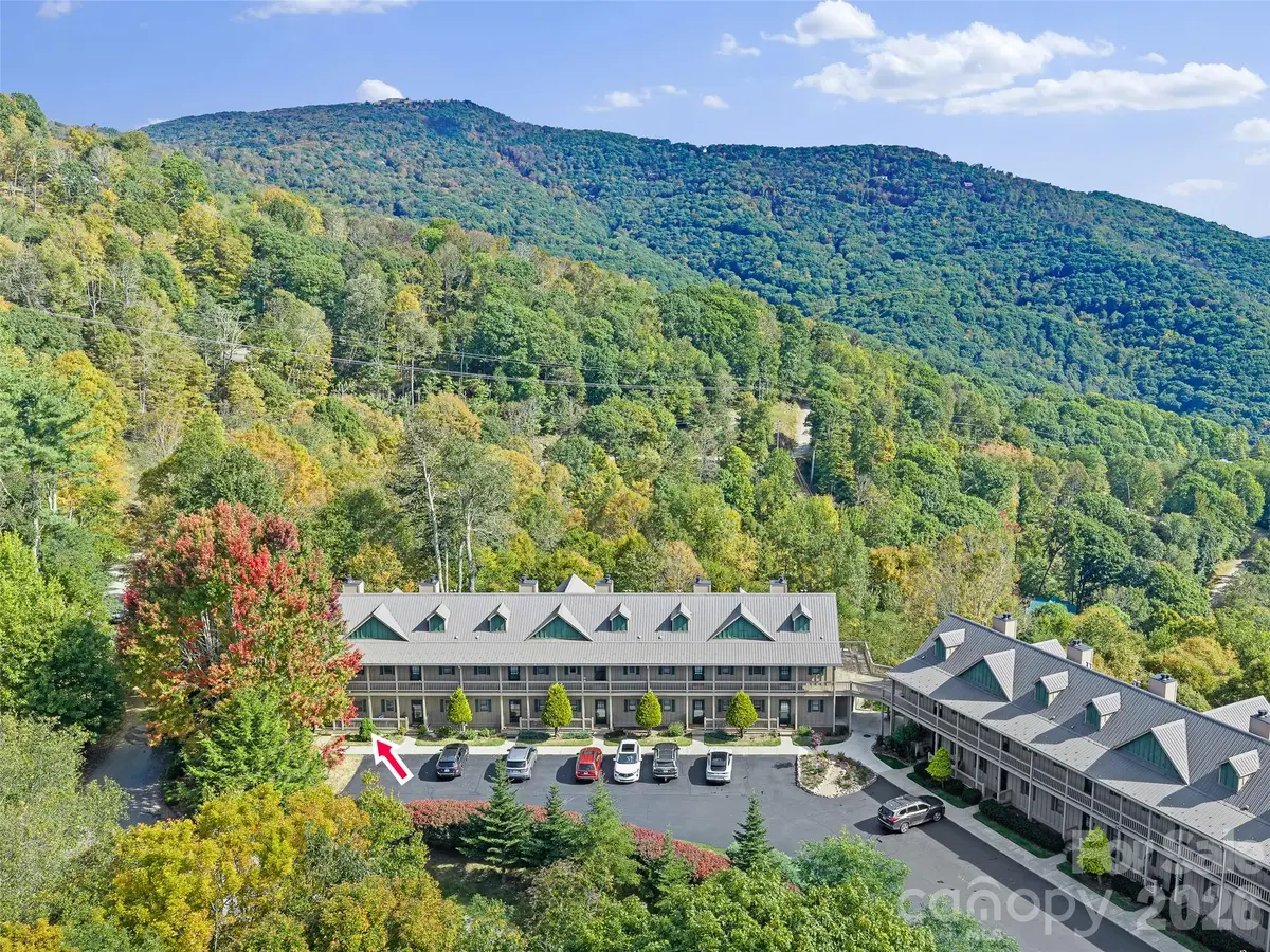 2521 Wolf Laurel Road #101, Mars Hill, NC 28754 - #1