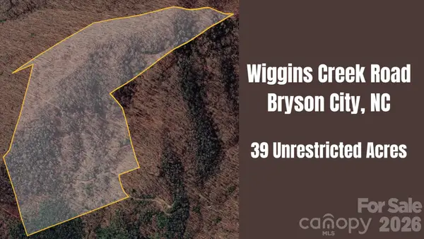 0 Wiggins Creek Road, Bryson City, NC 28713