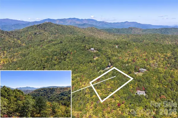 TBD Burnt Ridge Trail, Black Mountain, NC 28711