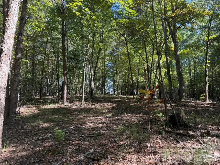3623 Pax Hill Road, Morganton, NC 28655 - #3