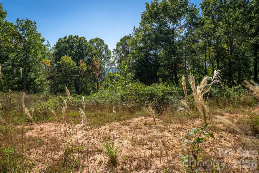 21 W Keesler Street, Black Mountain, NC 28711 - #3