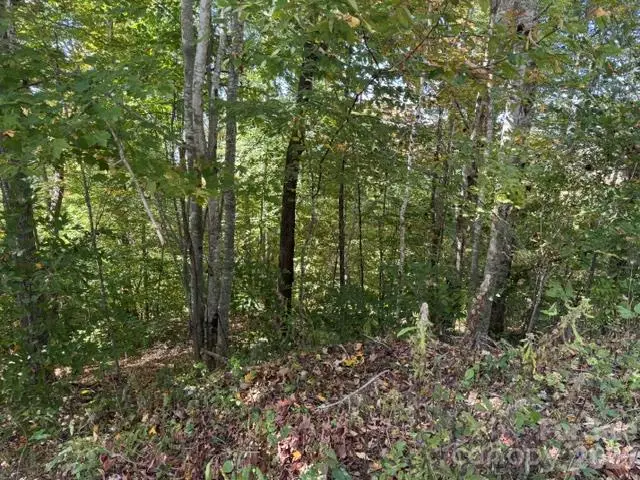 50 Scenic Wolf Ridge Road, Mars Hill, NC 28754 - #2