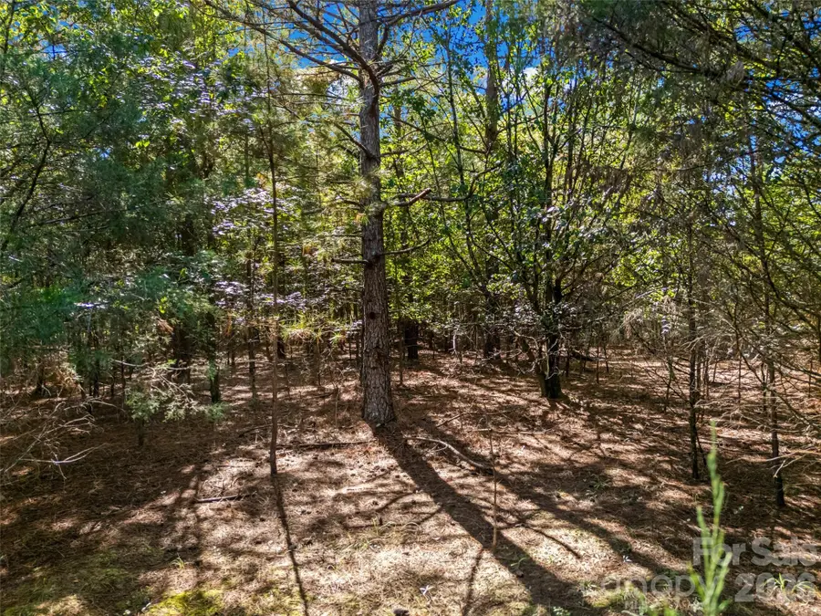 7215 Cunningham Lane, Indian Trail, NC 28079 - #2