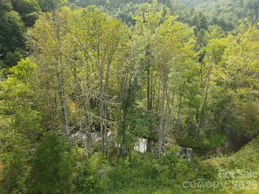 TBD Us 19 Highway, Burnsville, NC 28714 - #3