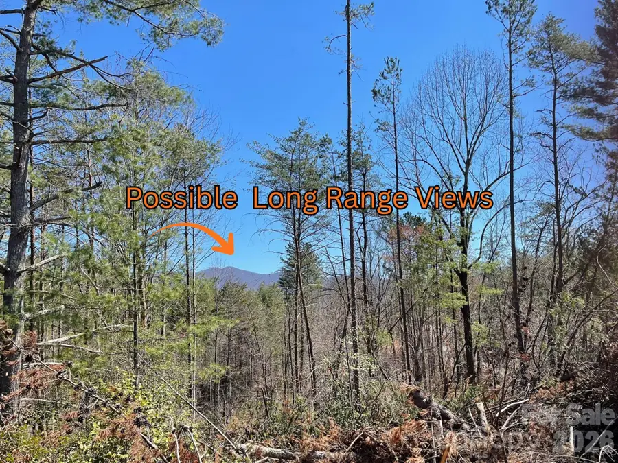 83 Union Chapel Road, Weaverville, NC 28787 - #3