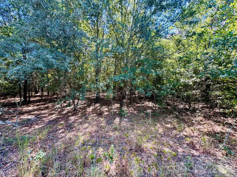 Lot 167 Brangus Lane, Cheraw, SC 29520 - #2