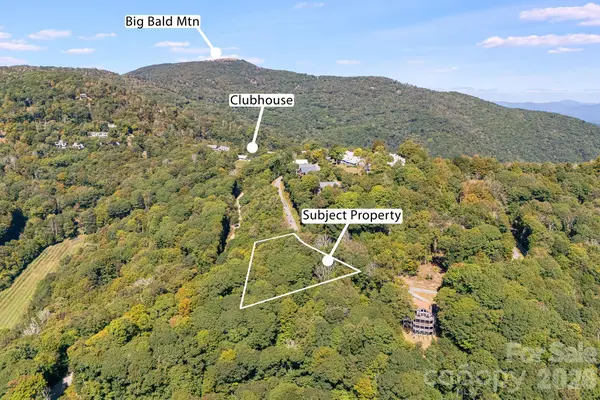 731 Mckinney Gap Drive, Mars Hill, NC 28754