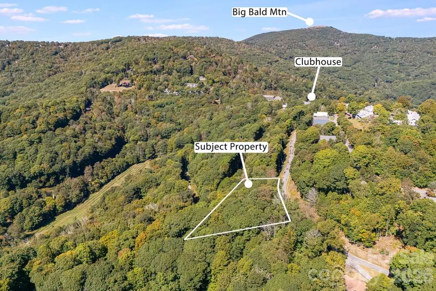 731 Mckinney Gap Drive, Mars Hill, NC 28754 - #3