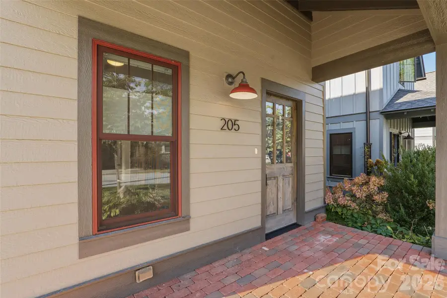 205 N Johnson Street, Brevard, NC 28712 - #3