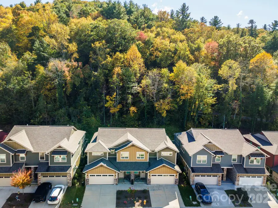 513 Sweet Birch Park Lane, Black Mountain, NC 28711 - #2