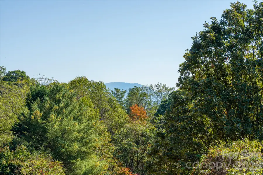 117 Spivey Mountain Road, Asheville, NC 28806 - #2