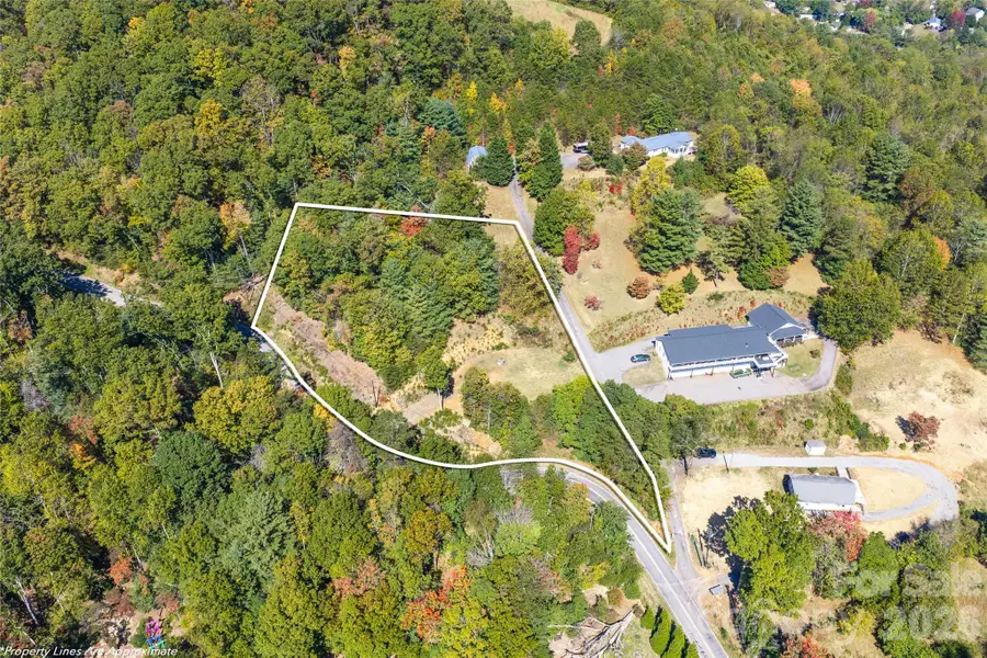 99999 Spivey Mountain Road, Asheville, NC 28806 - #2