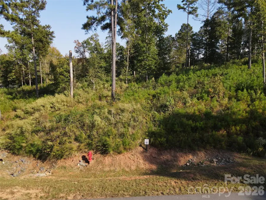 3060 & 3078 Jumping Run, Connelly Springs, NC 28612 - #3