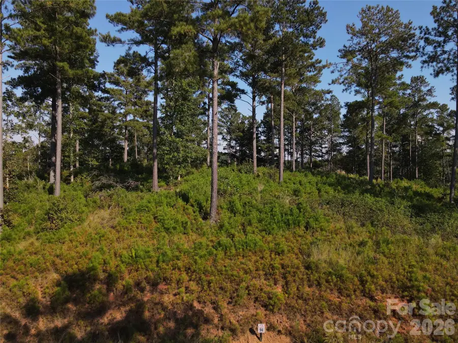 3012 & 3038 Jumping Run, Connelly Springs, NC 28612 - #2