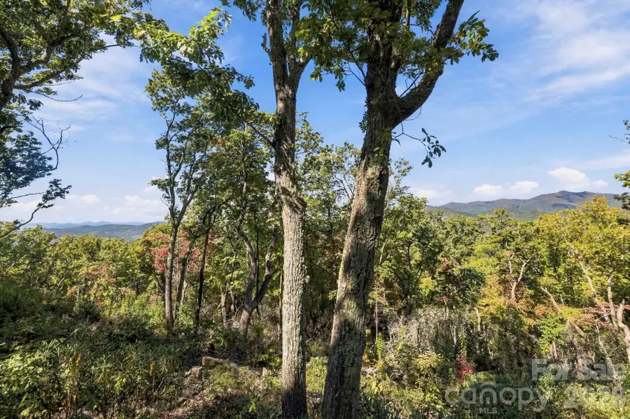 99999 Harrison Hill Road, Swannanoa, NC 28778 - #2
