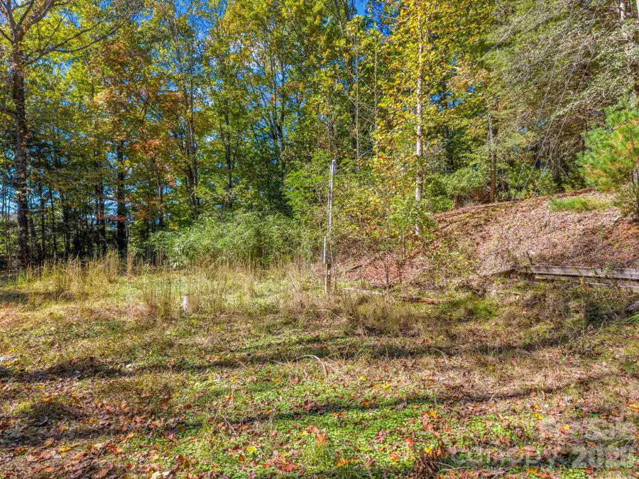 396 Patton Mountain Road, Pisgah Forest, NC 28768 - #3