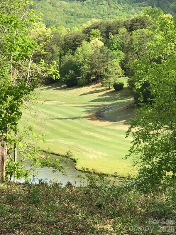 0 Stonecrest Court, Lake Lure, NC 28746