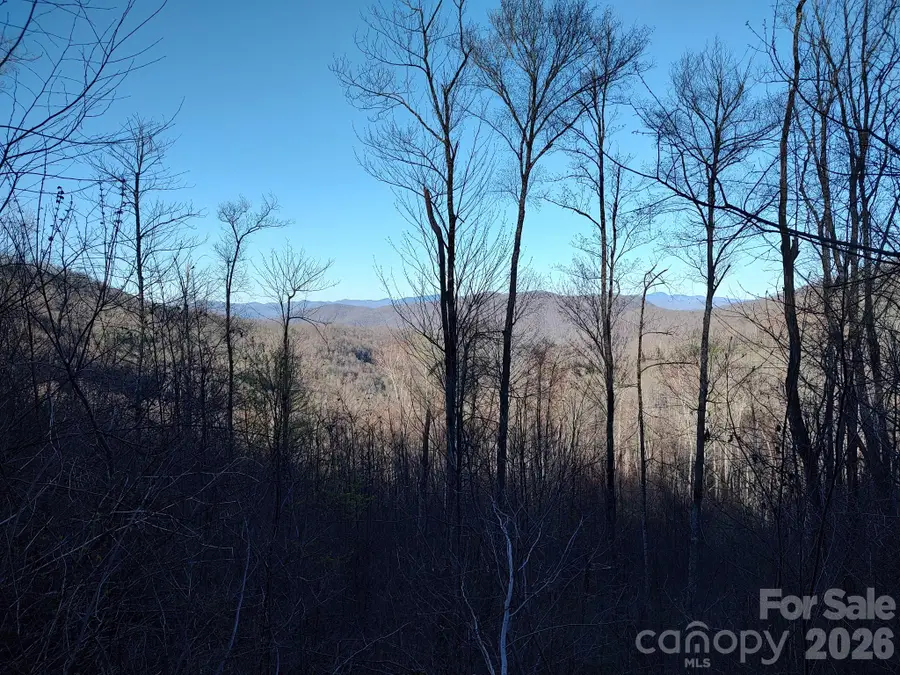 1629 White Rock Road, Cullowhee, NC 28723 - #3