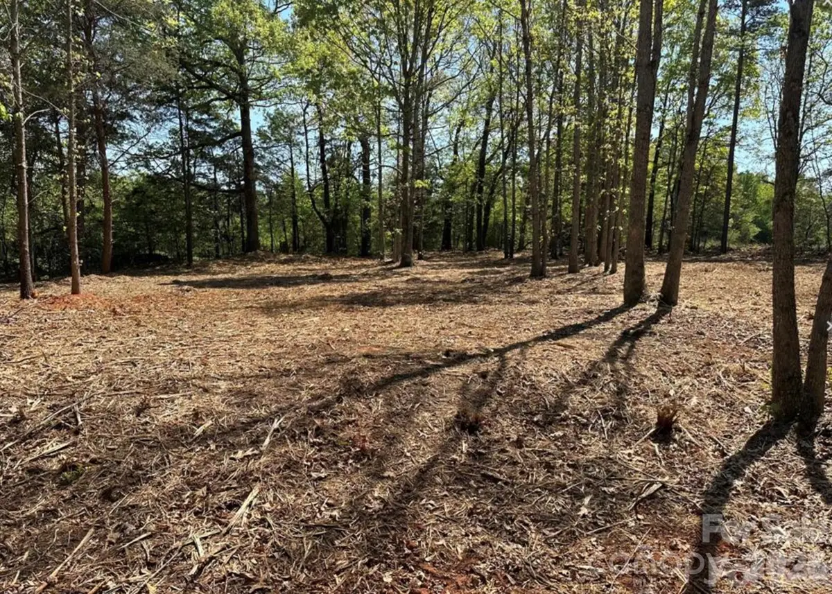 00 Longleaf Pine Drive #Lot 4, Hiddenite, NC 28636 - #1