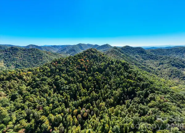 TBD Big Laurel Road, Marshall, NC 28753