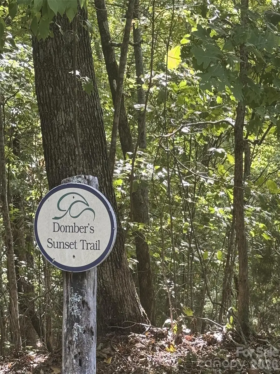 200 Ladys Fern Trail, Laurel Park, NC 28739 - #2