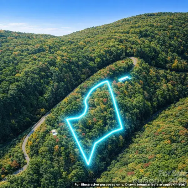 00 Laurel Branch Drive, Chimney Rock, NC 28720