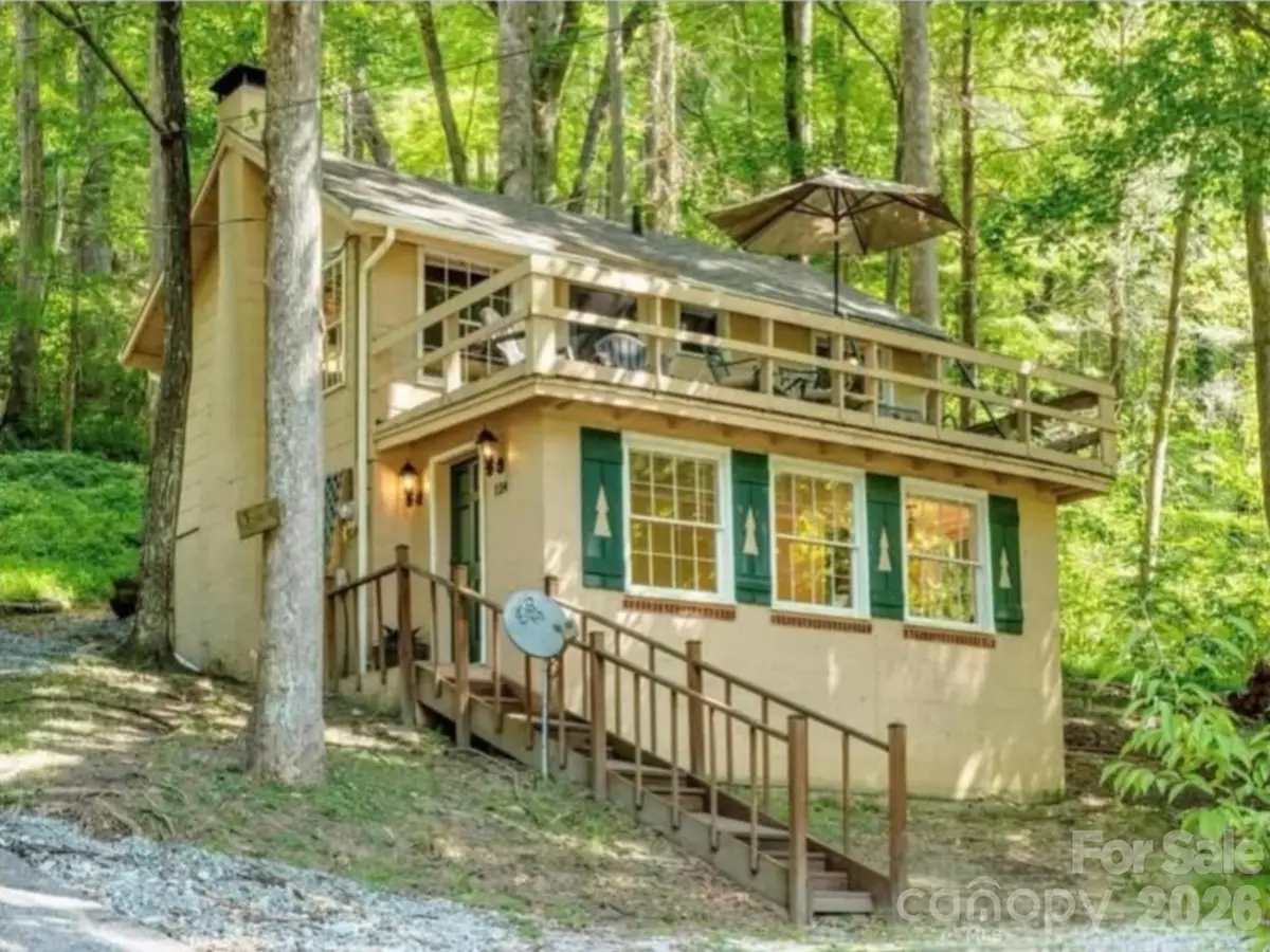 124 Buena Vista Road, Chimney Rock, NC 28720 - #1